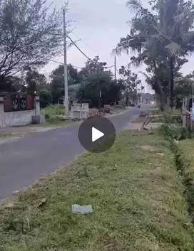 TANAH SLEMAN NGALIK SARDONOHARJO YOGYAKARTA