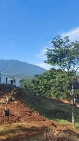 TANAH KAVLING SIAP BANGUN VILLA DI MEGAMENDUNG PUNCAK BOGOR