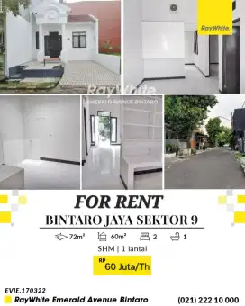 DISEWAKAN/DIJUAL RUMAH MURAH SEKTOR 9 BINTARO JAYA