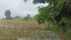 Dijual Kavling Strategis 8 Menit Curug Nangka Harga Lanching Murah