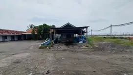 Di Jual Tambak Udang Vaname di Desa Agel - Situbondo