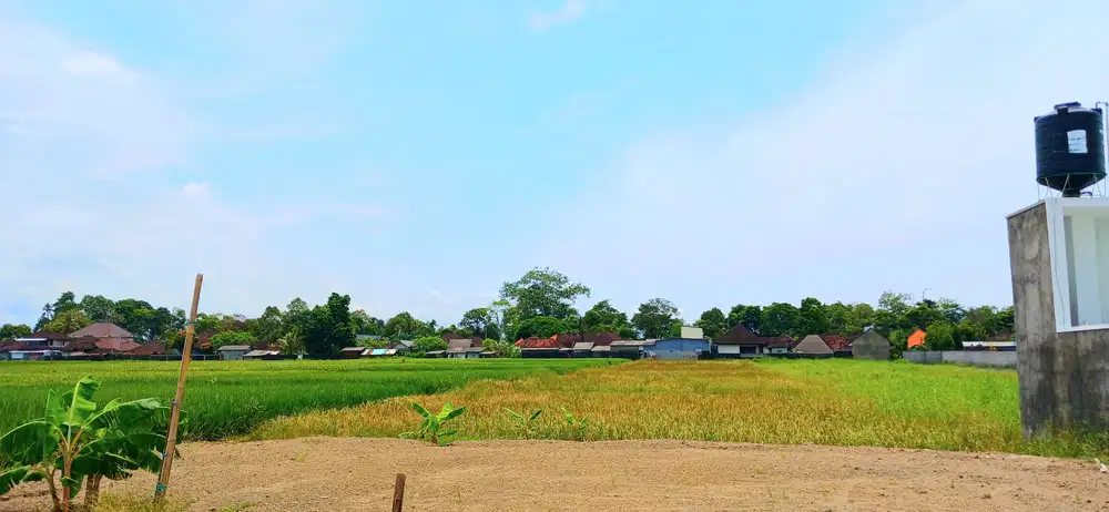 Dijual tanah 1975 m2 di Kelating Kerambitan Tabanan dkt Soori Bali