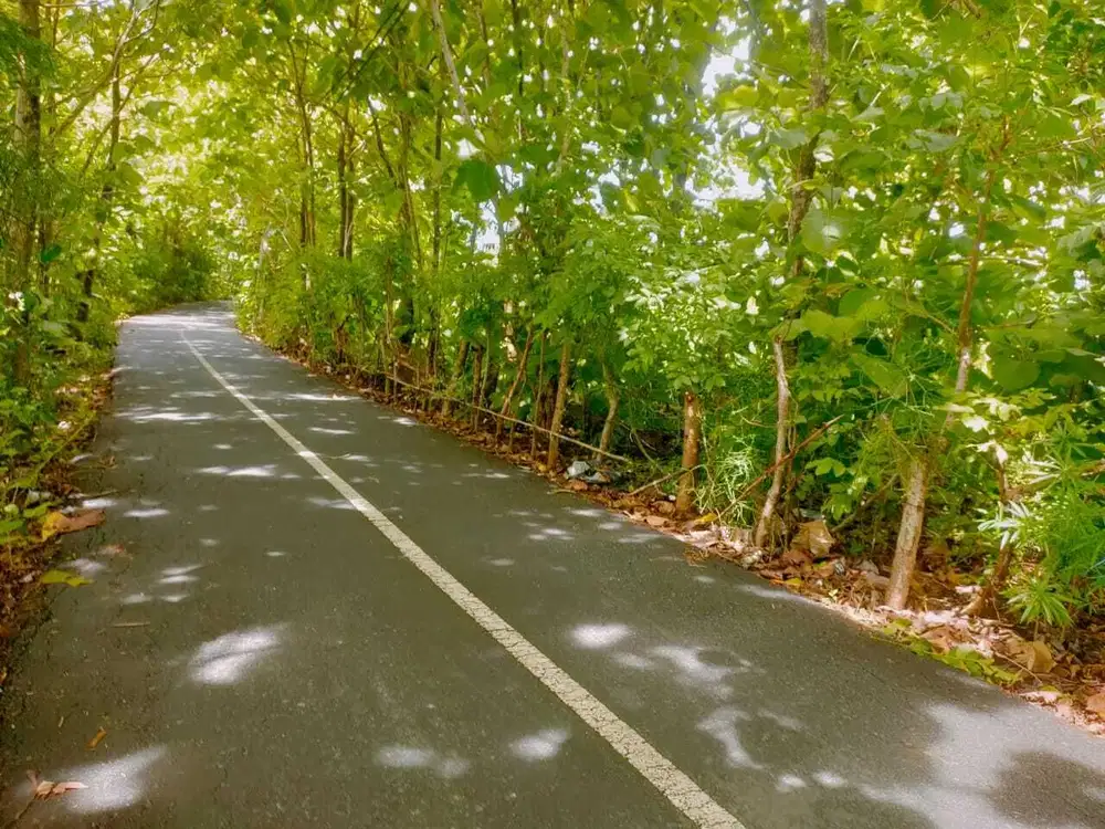 Jual Tanah Kavling Luas 200m²/2are Lokasi Jl Melasti dekat pantai
