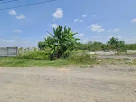 Tanah Zona Kuning di Parangjoro Grogol Sukoharjo