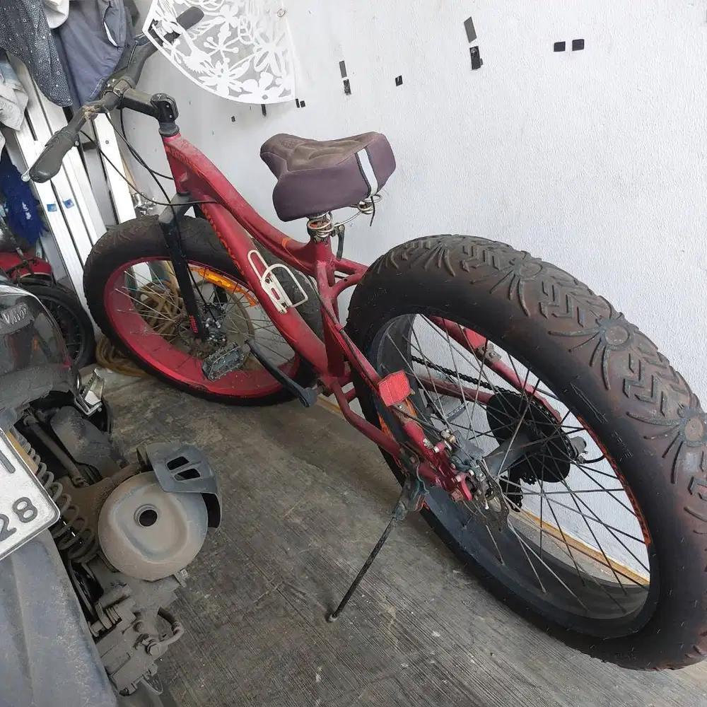 Wym Cicle Fatman