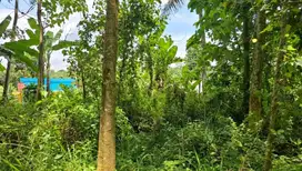 Dijual Lahan di Bandung Barat.Pinggir jalan Cipeundey Cikalong.
