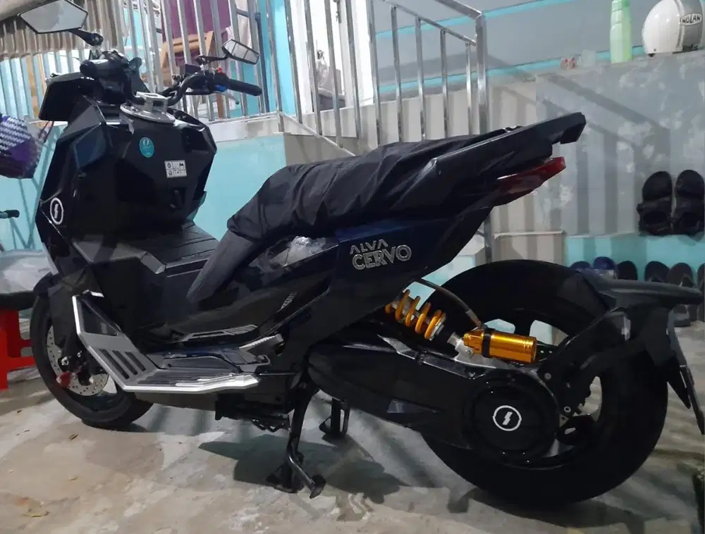 Alva cervo 2023