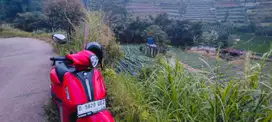 Di jual tanah murah lembang ciputri
