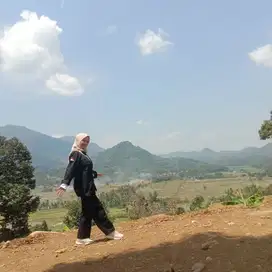 Kavling sawah view indah Menawan Nempel Jalan Propinsi