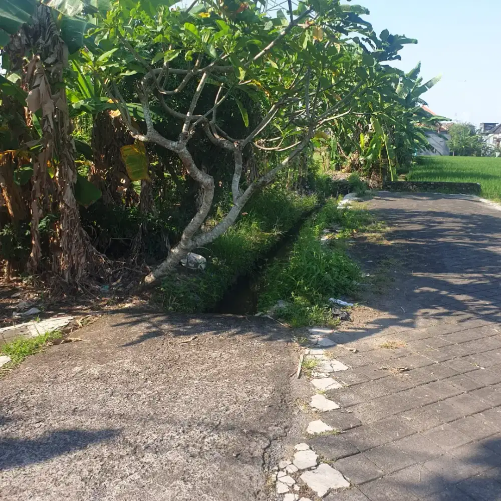 Di jual tanah lokasi Abianbase , Badung, Bali