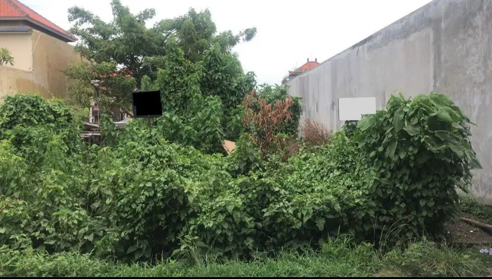 Di jual tanah 4 are Lokasi di taman sekar padangsambian