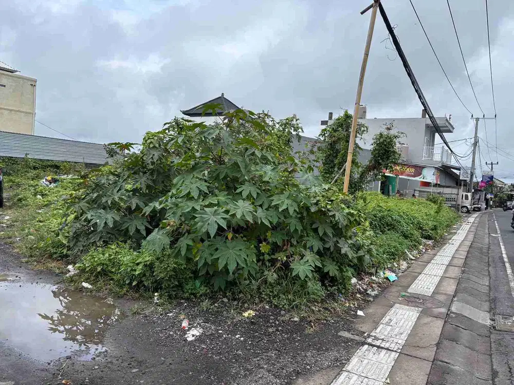 Tanah GLOBAL 265M2 NEGO utk Kantor, Usaha di Jln Padang Bali Utama