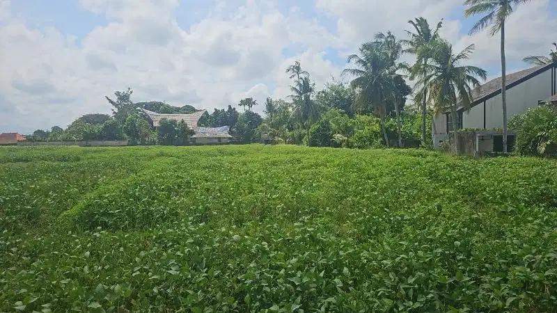 Tanah View Sawah Pantai Nyanyi Kediri Tabanan Bali