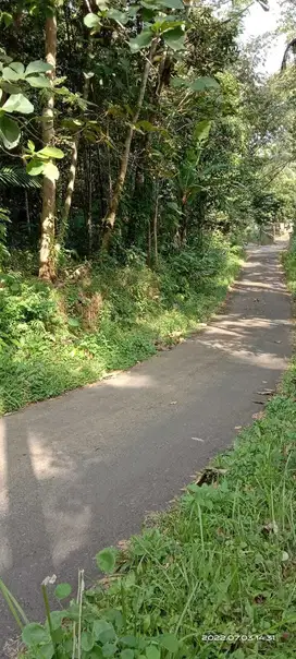 TANAH PEKARANGAN MURAH MERIAH COCOK U/ KEBUN/INVESTASI MENGUNTUNGKAN. JK10541