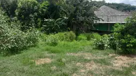 MURAH TANAH PEKARANGAN PINGGIR JALAN NANGGULAN-MENDUT JK13254