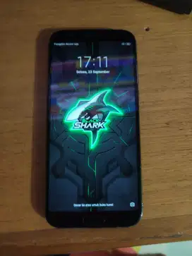 Blackshark 8/128 gb