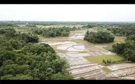 Tanah Industri Di Jalan Raya Padasuka - Warunggunung, Lebak