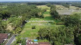 Disewa Tanah Luas Tanah 2100 m2 View Sawah & Jungle di Ubud Pejeng
