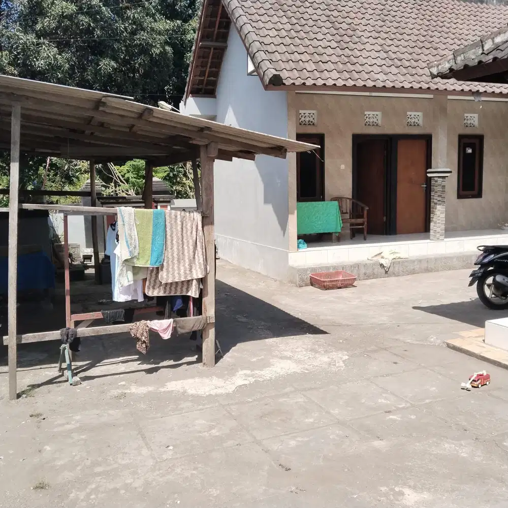 Di jual tanah 2,90 are & bangunan Lokasi di trengguli penatih