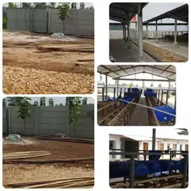 tanah di rangkas bitung - lebak banten