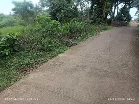 tanah di tanenko gelam kota serang banten