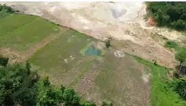 Jual Tanah di Singabraja, Jalan Raya Tenjo - Bogor, Jawa Barat