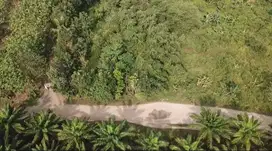 Jual Tanah Di Sindang Mulya, Maja - Rangkas Bitung, Lebak