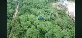 Sewa Tanah di Jalan Gunung Maloko, Cisauk - Tangerang, Banten