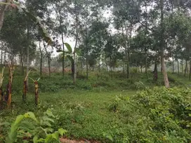 Kavling Eksklusif di Bekasi Selatan – Harga Promo Rp 1,15 Juta/m²