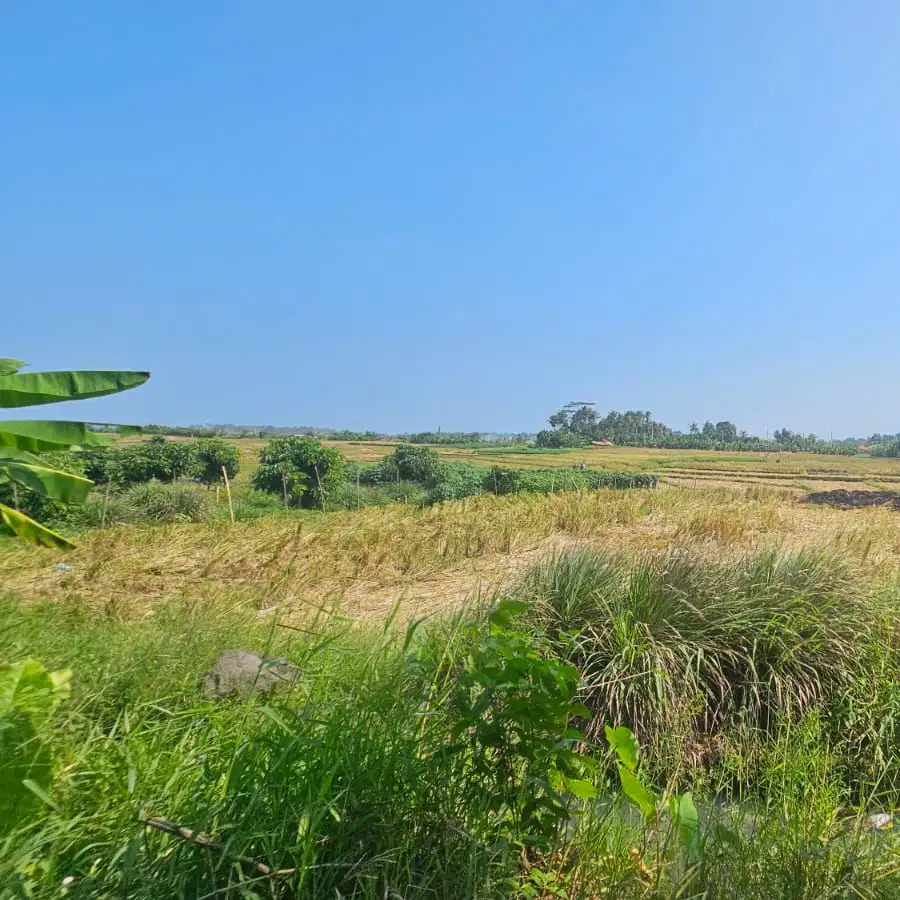 Dijual tanah komersil lokasi tibu biu pasut Lingkungan villa