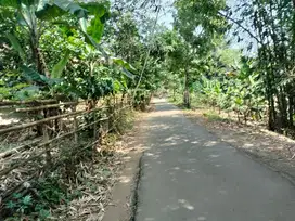 Di Jual Tanah kebun di Cimangeuteng Maja Lebak