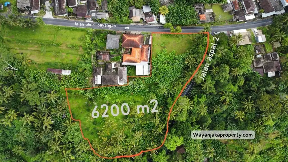Tanah View Lembah & Hutan Premium Raya Payangan Ubud