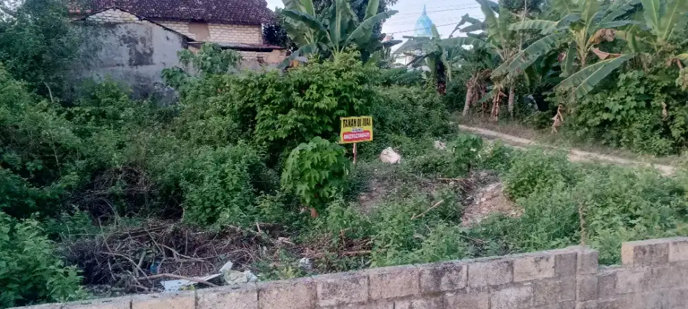 Dijual tanah daerah lingkar barat-Sumenep