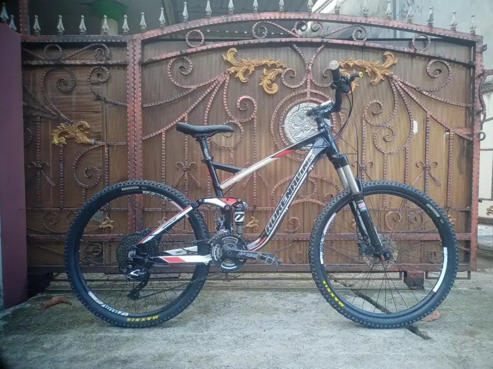 Mtb Adrenaline XC 2