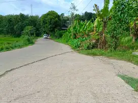 Tanah Murah 800ribuan di Bekasi Dekat Kawasan Industri Deltamas