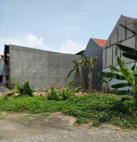 NEGO SAMPAI DEAL  BUTUH LAKU CEPAT   Dijual Kavling siap bangun  Strategis dekat kampus ITS  Keputih Tegal sukolilo