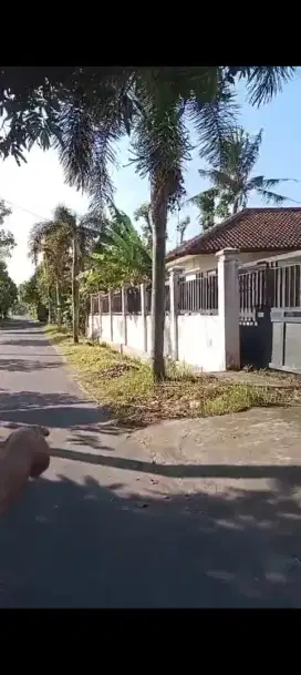 Dijual tanah shm pekarangan bonus kantor, pagar keliling, gerbang
