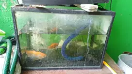 Aquarium beserta ikan