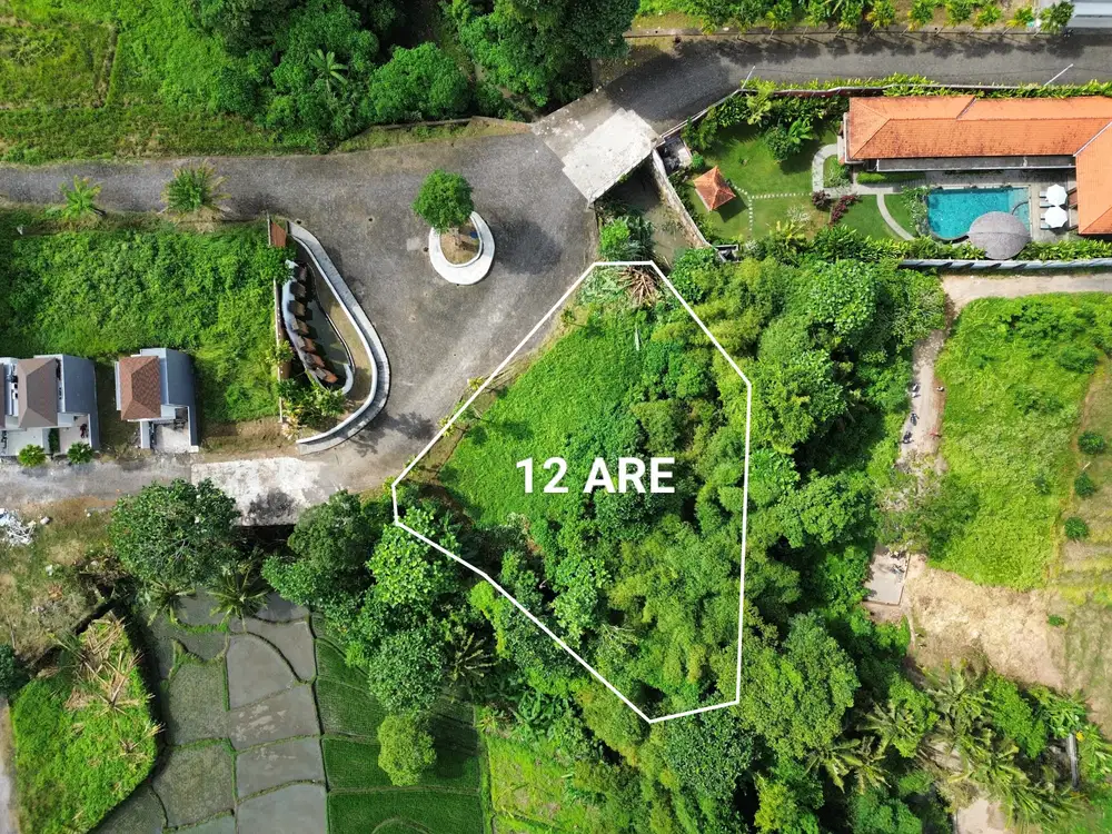 LAND FOR LEASE KEDUNGU RIVER FRONT