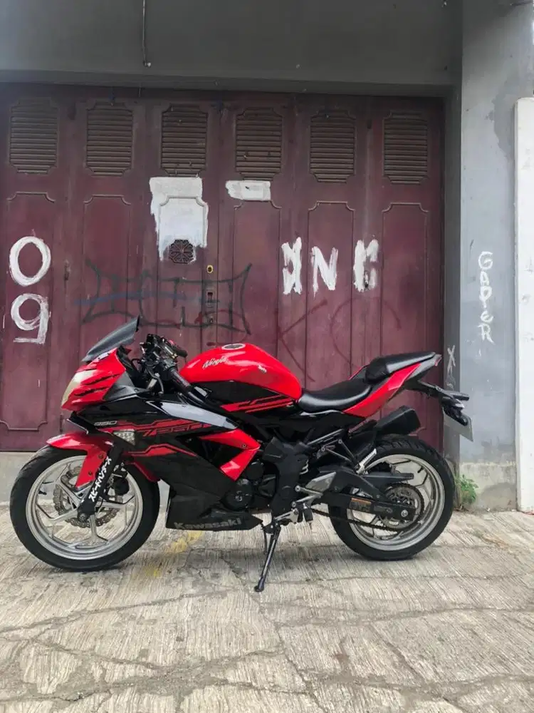 Kawasaki Ninja 250 SL 2017