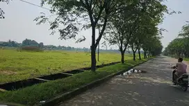 Tanah di Cikande, Luas 66 Hektar Tersedia Banyak Ukuran