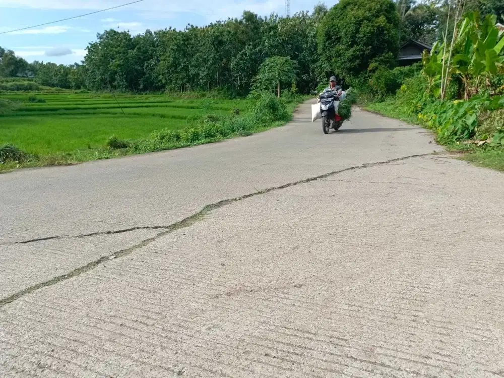 Tanah Murah 800ribuan di Bekasi Dekat Kawasan Industri Hyundai