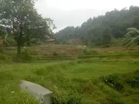 Tanah di Sentul City, View Bagus Dan Asri Luas 1 Hektar