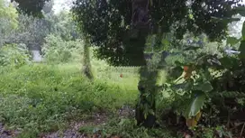 Jual Tanah Di Bawah NJOP, Kp. Durian Seribu, Bojongsari, Depok