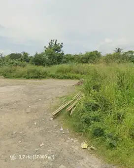 Dijual Tanah 3,7 Ha Pinggir Sungai Cisadane – Ciseeng Bogor