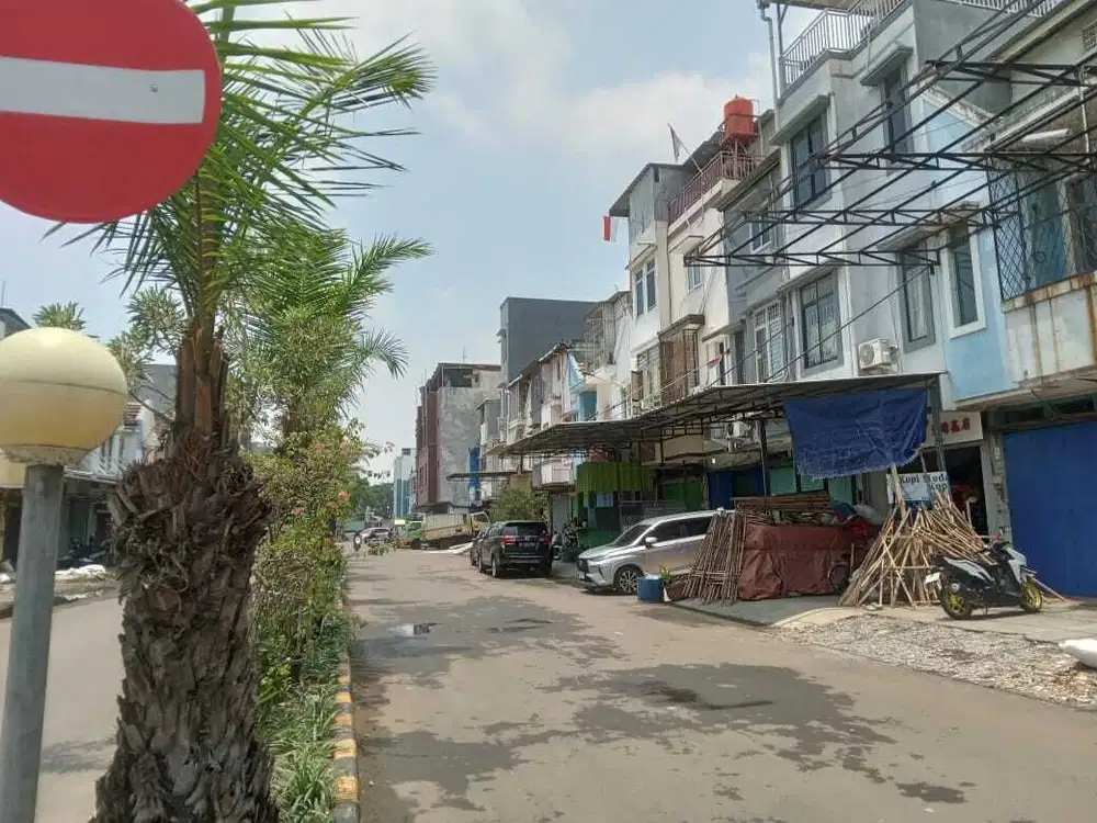 DISEWAKAN CEPAT RUKO DI TAMAN PALEM LESTARI (RUKO 1000)