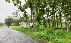 Tanah Strategis Dekat Jalan Magelang Sleman City Mall 450 Meter