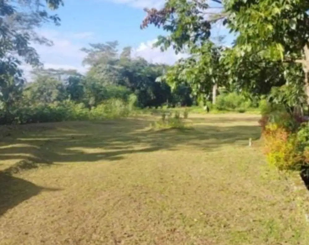 Termurah! Tanah kavling resort dago pakar bandung utara