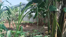 Jual Tanah dibawah NJOP di Jl. Pekapuran, deket tol Cimanggis,Depok