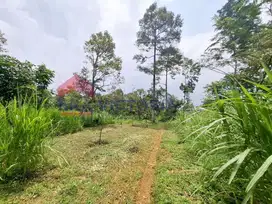 Tanah Luas kurang dari 200rb/m2 di Purwodadi